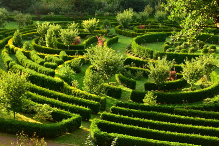 AdobeStock 379021408 scaled 1