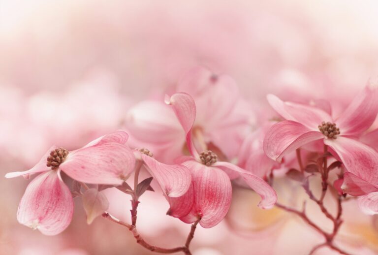 AdobeStock 543683396 scaled 2