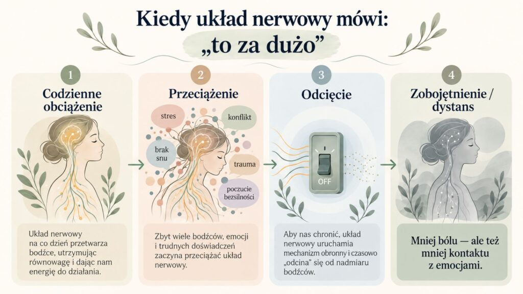 Kiedy układ nerwowy mówi to za dużo